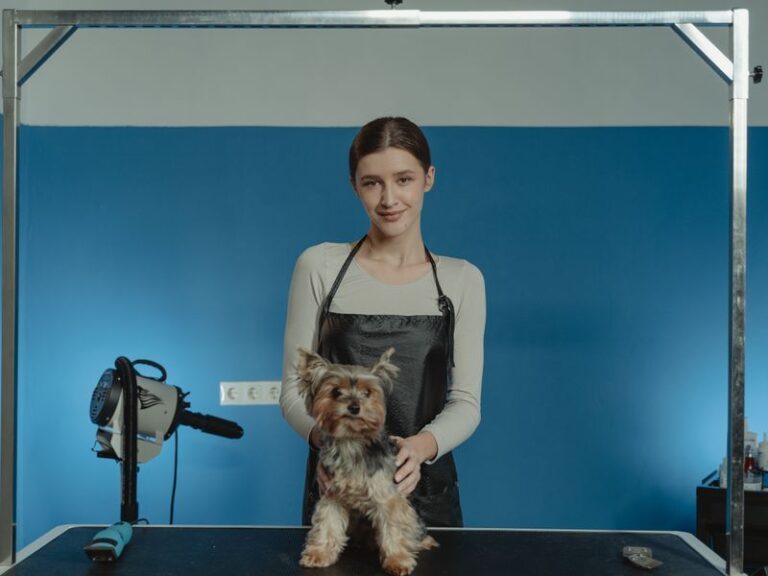 Vet Souza Pet Shop